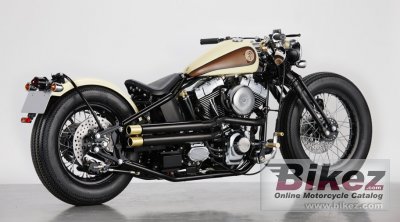 2012 Road Hopper 9i photo